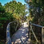 With Shared Garden Close To The Sea 罗索利纳马雷