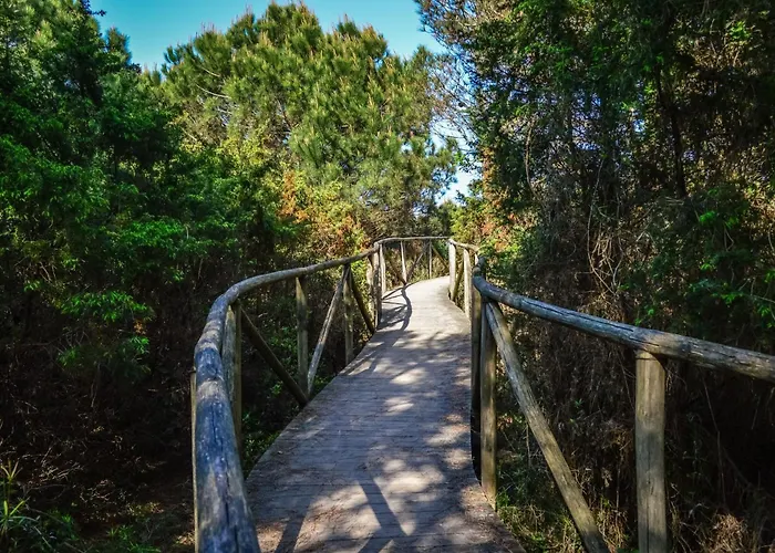 With Shared Garden Close To The Sea Rosolina Mare